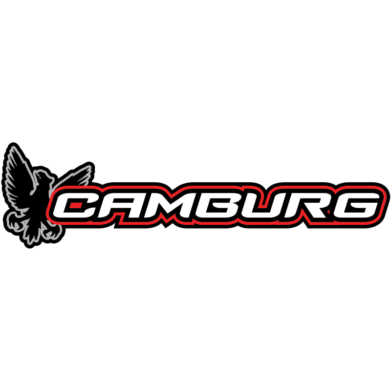 Camburg Ford F-150 2WD/4WD 09-20 1.25in Performance Uniball Upper Arms (w/ covers)