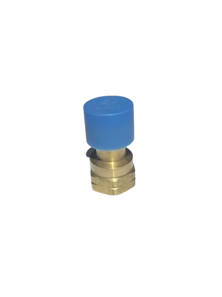 Cook Partner Brass Adaptor