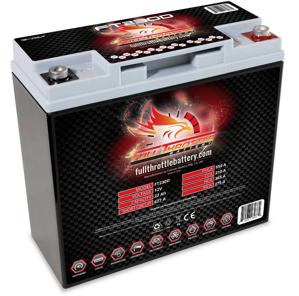 FT230D BT19BL-BS High-Performance AGM Battery