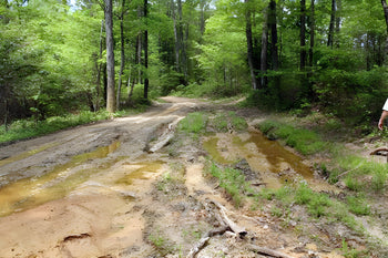 Trail Etiquette 101: Do's and Don’ts of Off-Roading with Stay the Trail