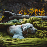 HOVERQUILT