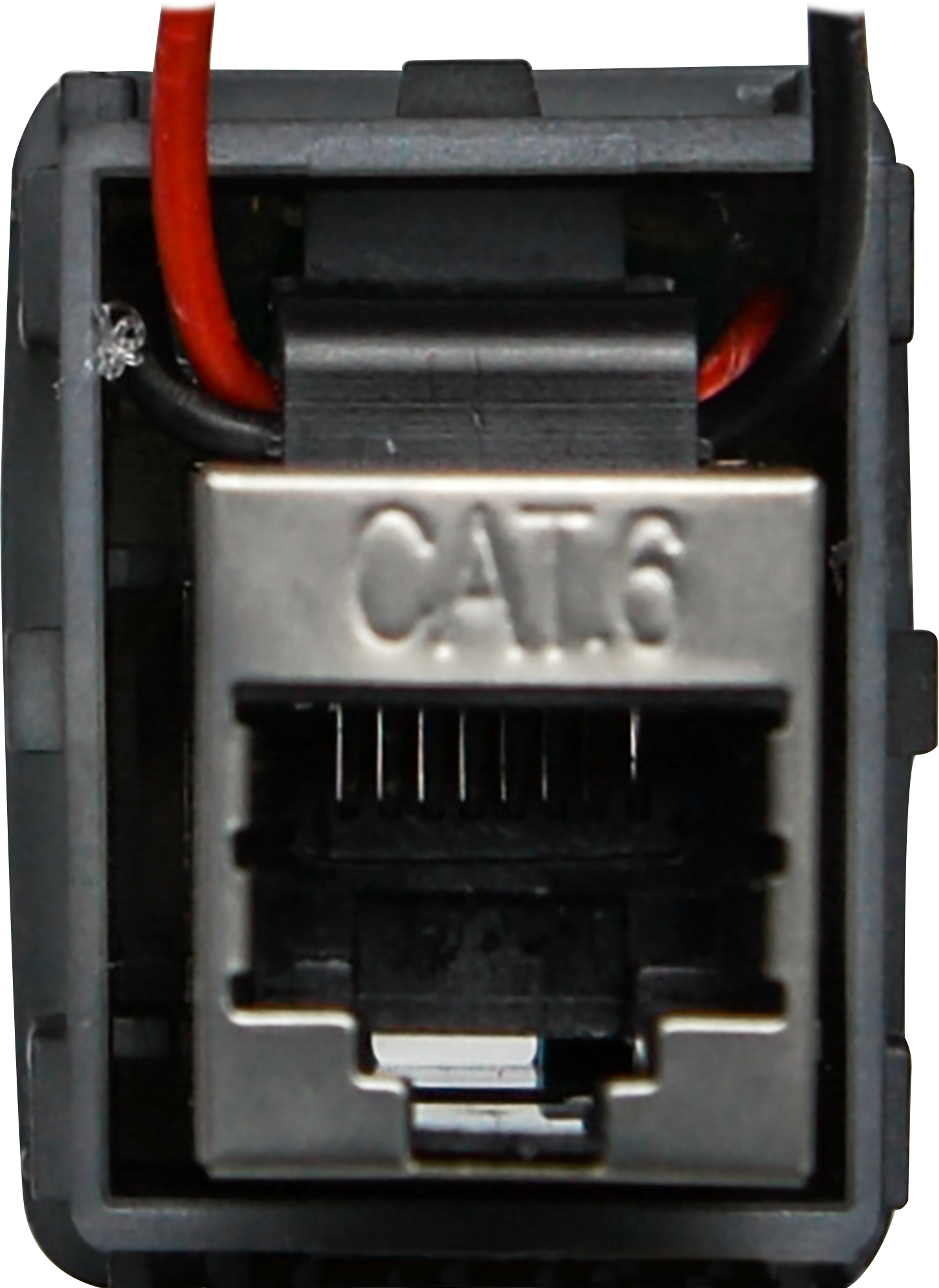 RJ45 Pass-Through Adaptor - Type 8 (White)