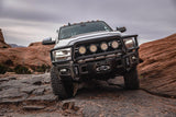 Ram HD Brush Guard