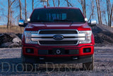 Diode Dynamics 15-20 Ford F-150/Raptor Pro SS3 LED Ditch Light Kit - White Combo