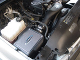 Volant 01-06 Chevy Silverado/Sierra/Avalanche/Suburban/Yukon 2500 8.1L V8 Pro5 Cold Air Intake