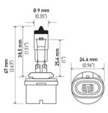 Hella Bulb 893 12V 37.5W PG13 T3.25