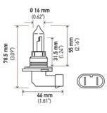 Hella 9005/HB3 12V 100W P20d T4 Halogen Bulb