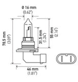 Hella Bulb 9005 12V 65W P20D T4 +50