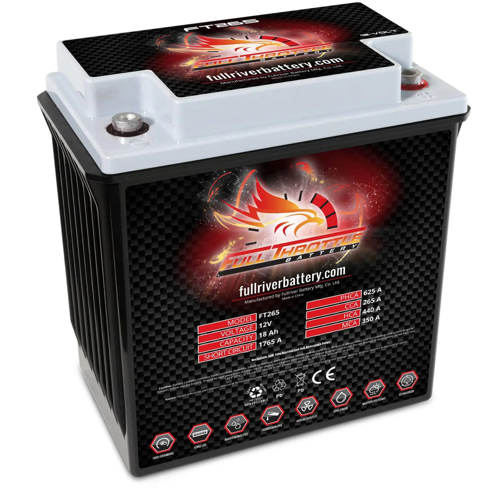 FT265 B16CL-B High-Performance AGM Battery