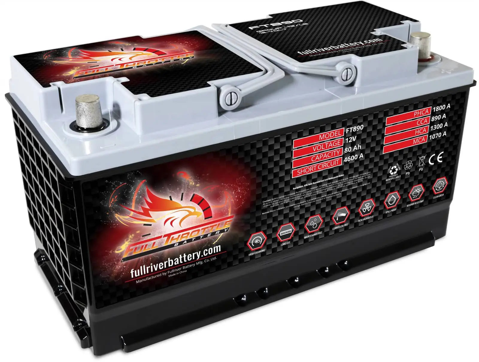 FT890-49 Group 49 High-Performance AGM Battery